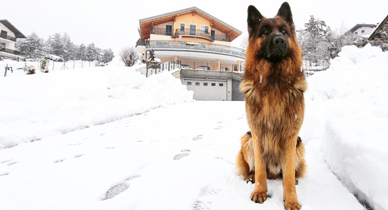 Affittacamere Dolce Sogno Coredo Εξωτερικό φωτογραφία