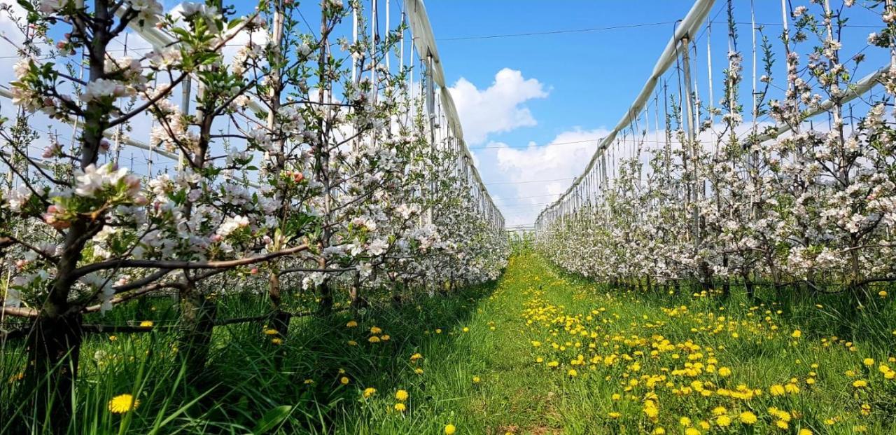 Affittacamere Dolce Sogno Coredo Εξωτερικό φωτογραφία